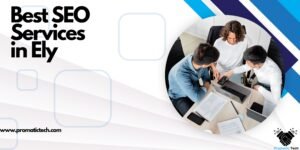 Read more about the article Best SEO Services in Ely