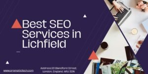 Read more about the article Best SEO Services in Lichfield