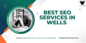 Read more about the article Best SEO Services in Wells