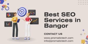 Read more about the article Best SEO Services in Bangor