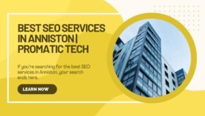Read more about the article Best SEO Services in Anniston | Promatic Tech
